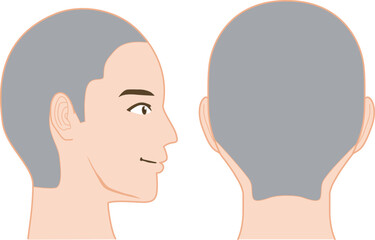 頭のツボの図解イラスト(男性)