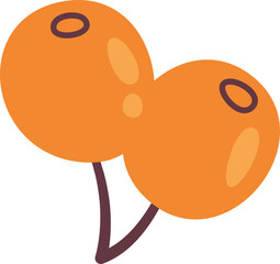 Sea Buckthorn Berries