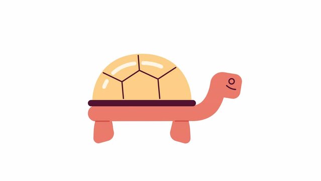 Pond turtle walking 2D character animation. Tortoise activity flat cartoon 4K video, transparent alpha channel. Exotic pet with shell crawling. Slow cute reptile animated animal on white background
