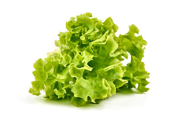 Lettuce Salad leaves, isolated on white background.