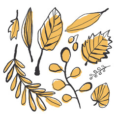 Autumn leaves on white background. EPS 10 vector 