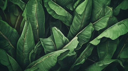Tropical banana leaf. Generative AI