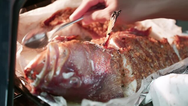 Home cooking of red snapper in oven, creole food, Mahe Seychelles 2