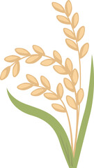 Fototapeta na wymiar Rice Plant Ears