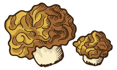 Shitake icon. Fresh raw mushroom color sketch