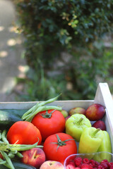 Wooden crate full of healthy seasonal fruit and vegetable, in the garden. Selective focus.