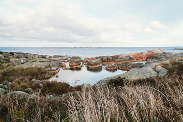 Rock pool near National Whale Trail at The Gardens in Bay of Fires, Tasmania