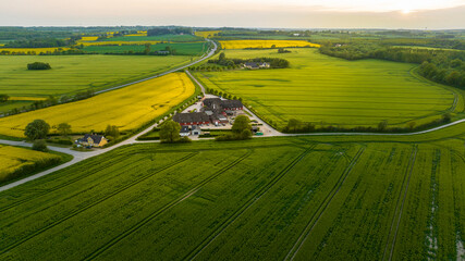 Aerial view, Denmark, Region Syddanmark, Christiansfeld, Agriculture and farms with grain and rapeseed fields,