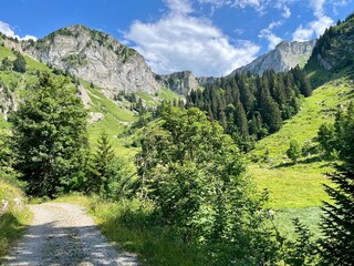 Fototapeta premium Suisse