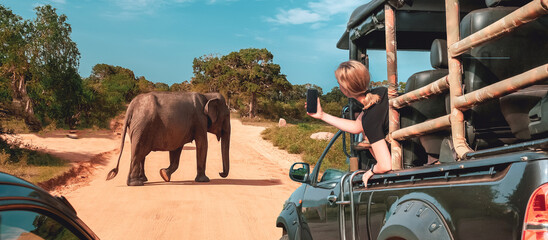 Wildlife safari.Eco travel in the jungle with wild animals elephants.Tropical tourism in the wild life of elephants.Road trip jungle,eco safari.Elephant wild life - obrazy, fototapety, plakaty