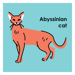 Abyssinian cat black line icon. Farm animals.
