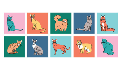 Cat breeds black line icons set. Pictograms for web page