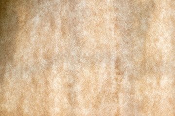Papyrus texture. Background from old paper.