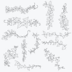 Floral ivy drawing decorative ornament flat design collection.