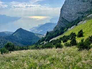 Obraz premium Suisse