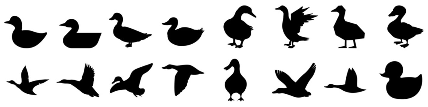 Duck icon vector set. Bird illustration sign collection. Hunting symbol. Goose logo.