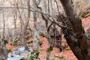 Discover a charming wooden birdhouse nestled in the heart of Faedo de Ci&ntilde;era, a delightful haven for feathered friends amidst the woodland beauty