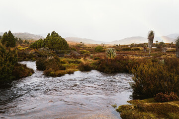 Ronny Creek in Cradle Mountain, Tasmania, Austrlaia
