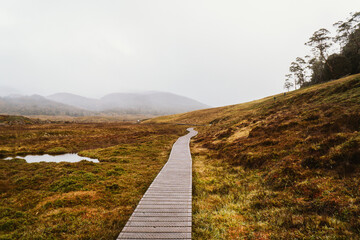 Wide shot of Lake Lilla Track towards Wombat Pool at Ronny Creek in Cradle Mountain