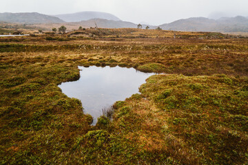 Lake Lilla Track at Ronny Creek in Tasmania's North West, Australia