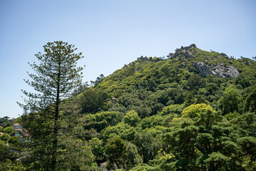 the landscape view of the castle Palácio de Monserrate