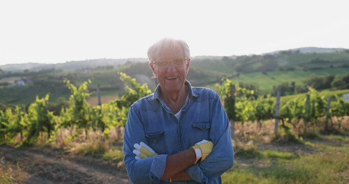 Senior man smiling on camera during sunset time with vineyard in background - Tradition, farmer lifestyle and small business concept