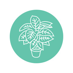 Dieffenbachia houseplant black line icon. Indoor decorative plant.