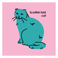 Scottish fold cat black line icon. Farm animals.