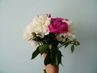 Beautiful peony flowers in a bouquet close-up, background image, favorite flowers for a gift