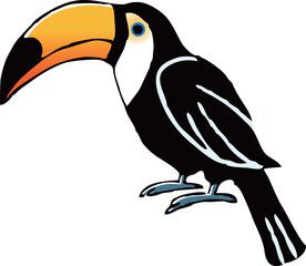 オオハシ　手描き線画イラスト