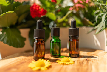 bottles of essential oils. natural cosmetics for skin care. A bottle and flowers in a pot on a wooden table. Taking care of health and beauty.