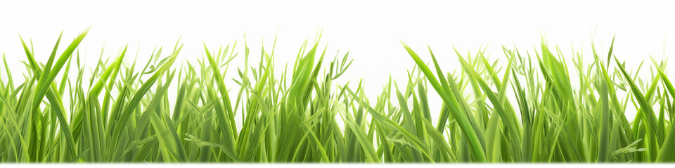 Fototapeta premium a row of 3d green grass on a white background. Generative AI