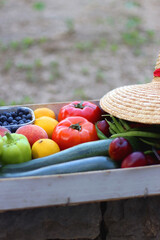 Crate with fresh homegrown fruit and vegetable and straw hat in the garden. Selective focus.