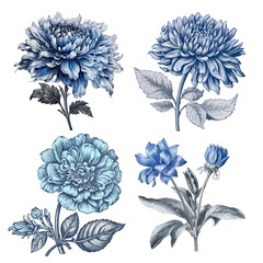 Set of blue flower 3D illustration digital art design, generative AI
