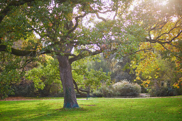 Fototapeta na wymiar Beautiful park of Bagatelle in Paris, France on a beautiful fall day
