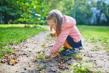 Abwaschbare Fototapete Nice Adorable preschooler girl enjoying nice and sunny autumn day outdoors