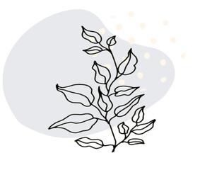 Hand-drawn illustration of the branch of a tree  with a light gray background