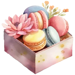Foto op Canvas Watercolor macarons in box illustration , soft pastel tone clipart , Isolated PNG © HappyTime 17