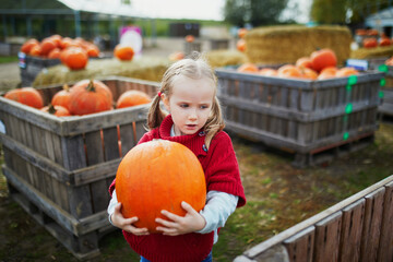 Fototapeta premium Adorable preschooler girl in red poncho selecting pumpkin on farm