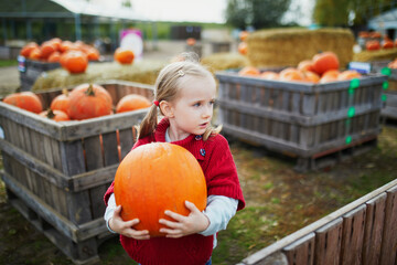 Fototapeta premium Adorable preschooler girl in red poncho selecting pumpkin on farm