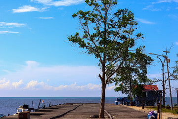 Panoramic view of Kenyamukan Beach, Sangatta, East Kalimantan, Indonesia in the morning.