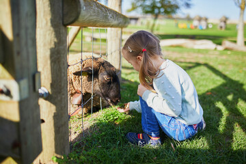 Adorable little girl playing with goats at farm