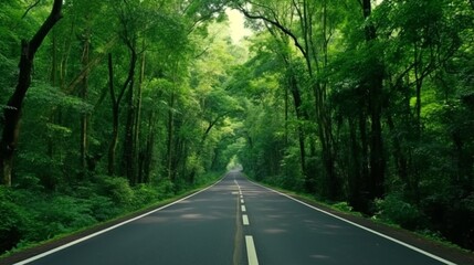 Fototapeta premium Flat view of road through green forest. Generative AI