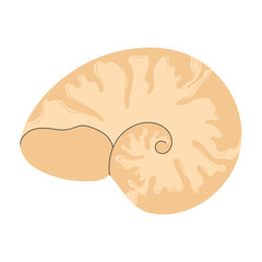 Snail seashell. Marine underwater swirled sea shell of round spiral shape. Undersea mollusc. Mollusk, shellfish. Under water bicolor striped clam. Flat vector illustration isolated on white background