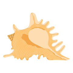 Obraz premium Sea shell, Lambis Scorpius. Marine mollusc with limbs. Spider conch, scorpion seashell. Undersea underwater mollusk. Ocean under water shellfish. Flat vector illustration isolated on white background
