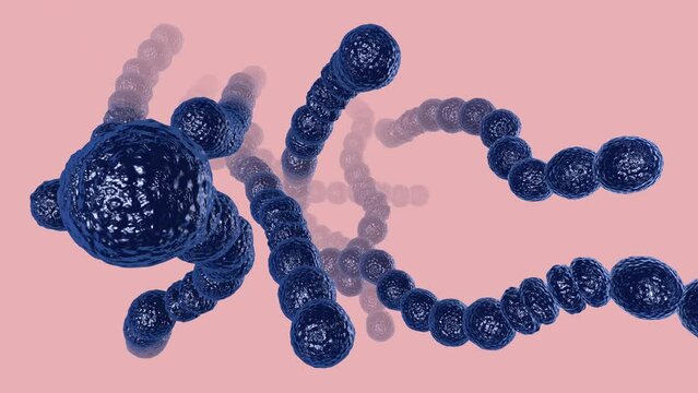 Strep Throat Bacterial Infection