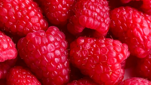 fresh raspberry, rotation in circle. baby red berry, Turning. selective focus. fruit and berry season	