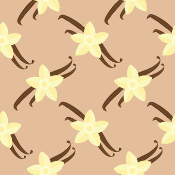 Seamless pattern with vanilla flowers and vanilla sticks. Vector illustration cartoon flat style