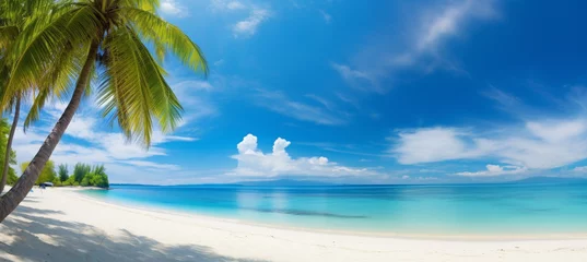 Poster Beautiful beach with white sand, turquoise ocean, blue sky with clouds and palm tree over the water © MUS_GRAPHIC