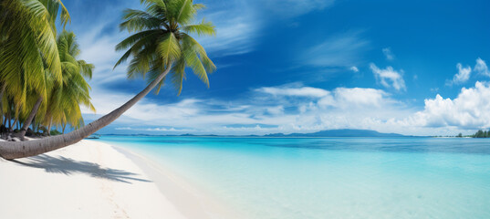 Fototapeta na wymiar Beautiful beach with white sand, turquoise ocean, blue sky with clouds and palm tree over the water